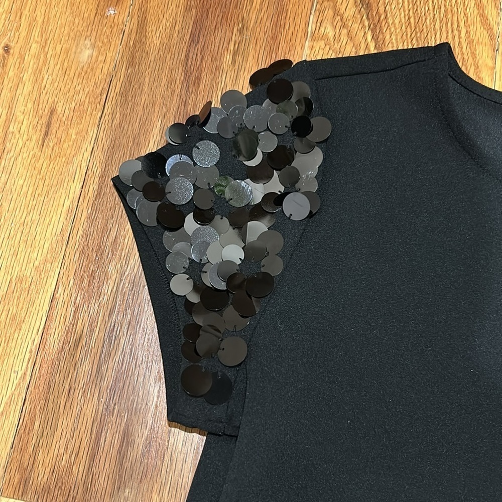 Ann Taylor Knit Top with sequined sleeves - Picture 2 of 4